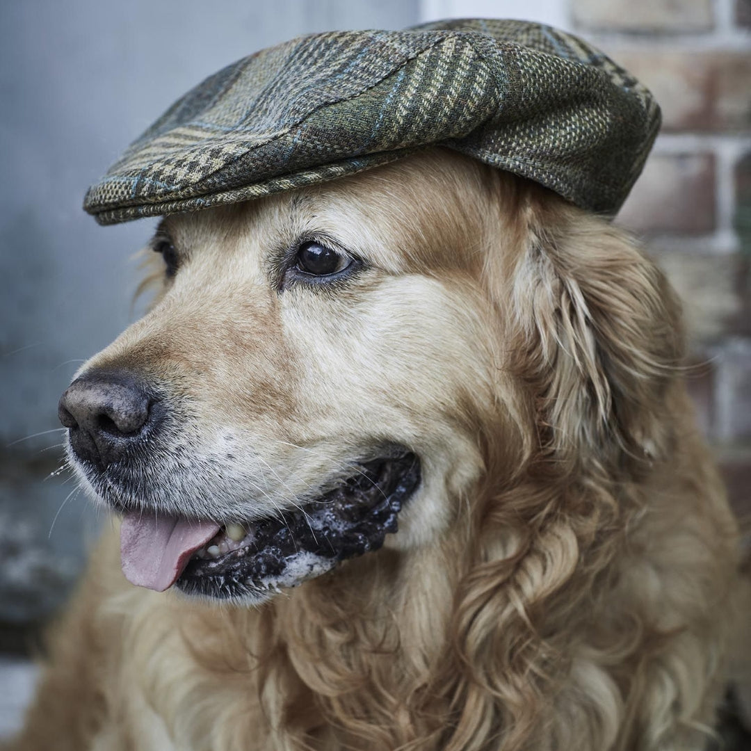 Gorra plana Wilkin Barbour Olive