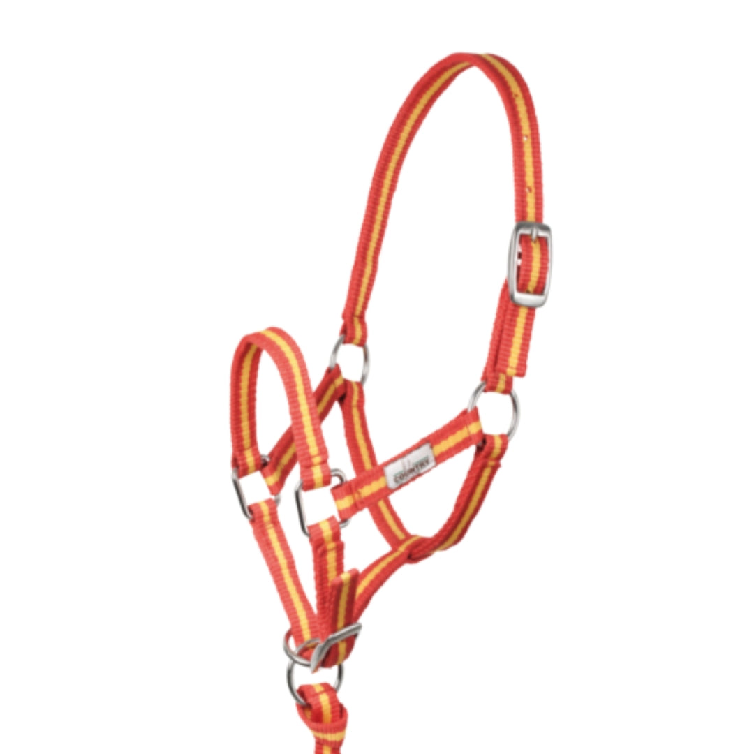 Cabezada Cuadra HH Nylon Foal