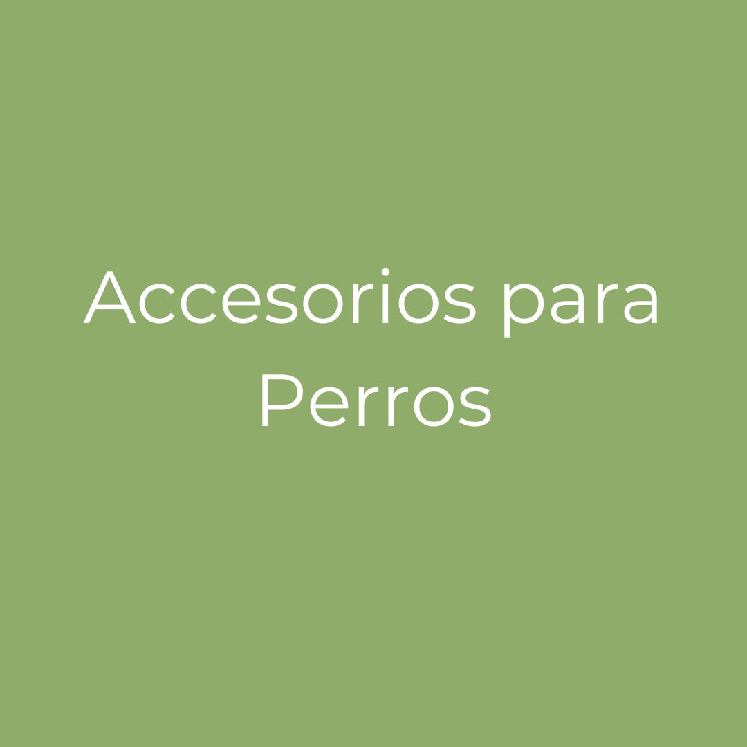 Accesorios para Perros