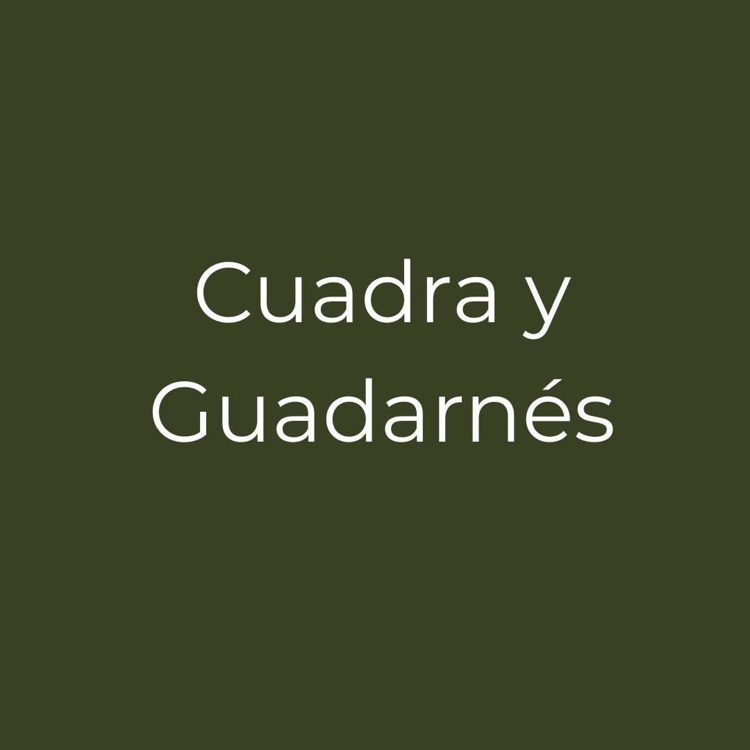 Cuadra y Guadarnés