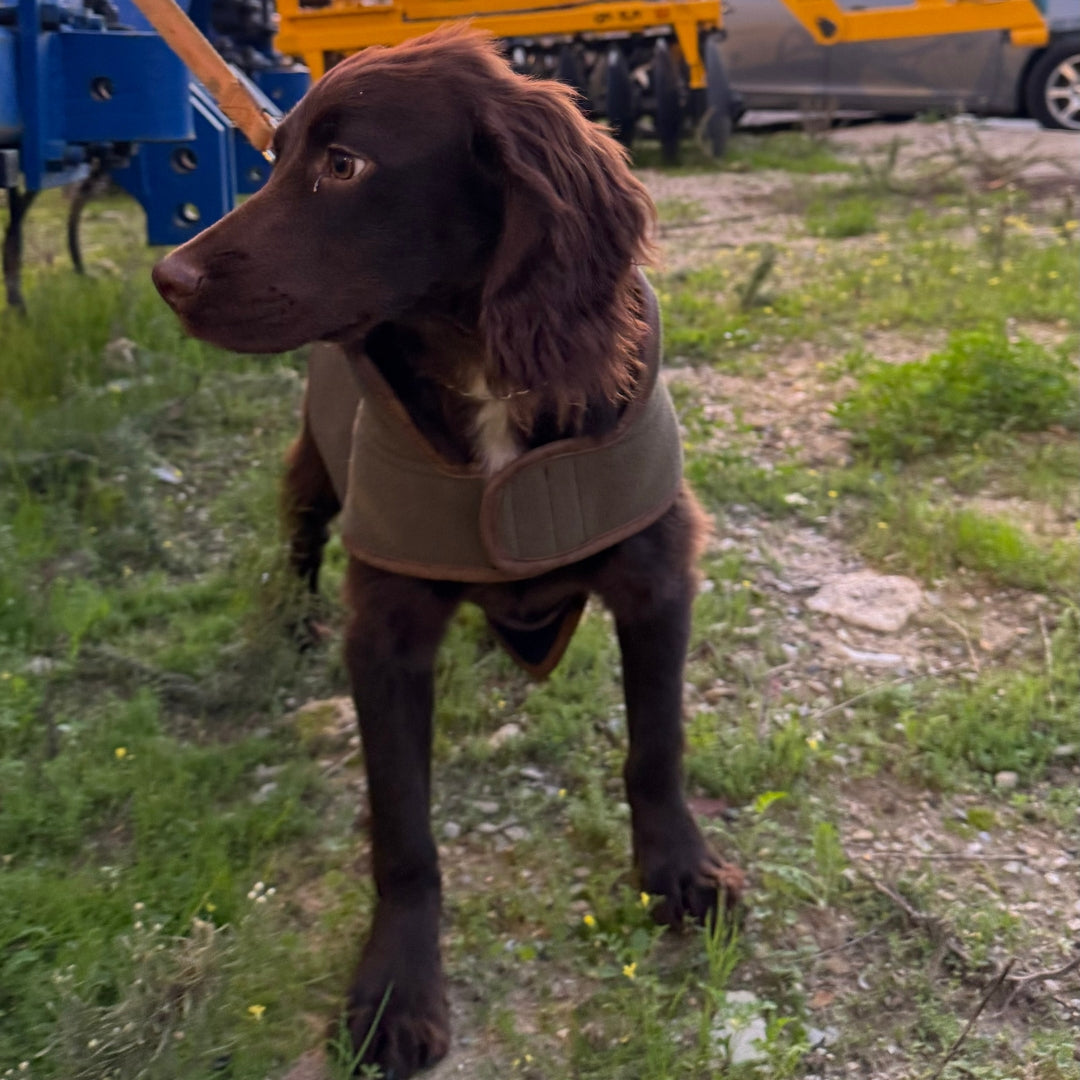 Abrigo para Perro Polar de Sherpa Jack Pyke