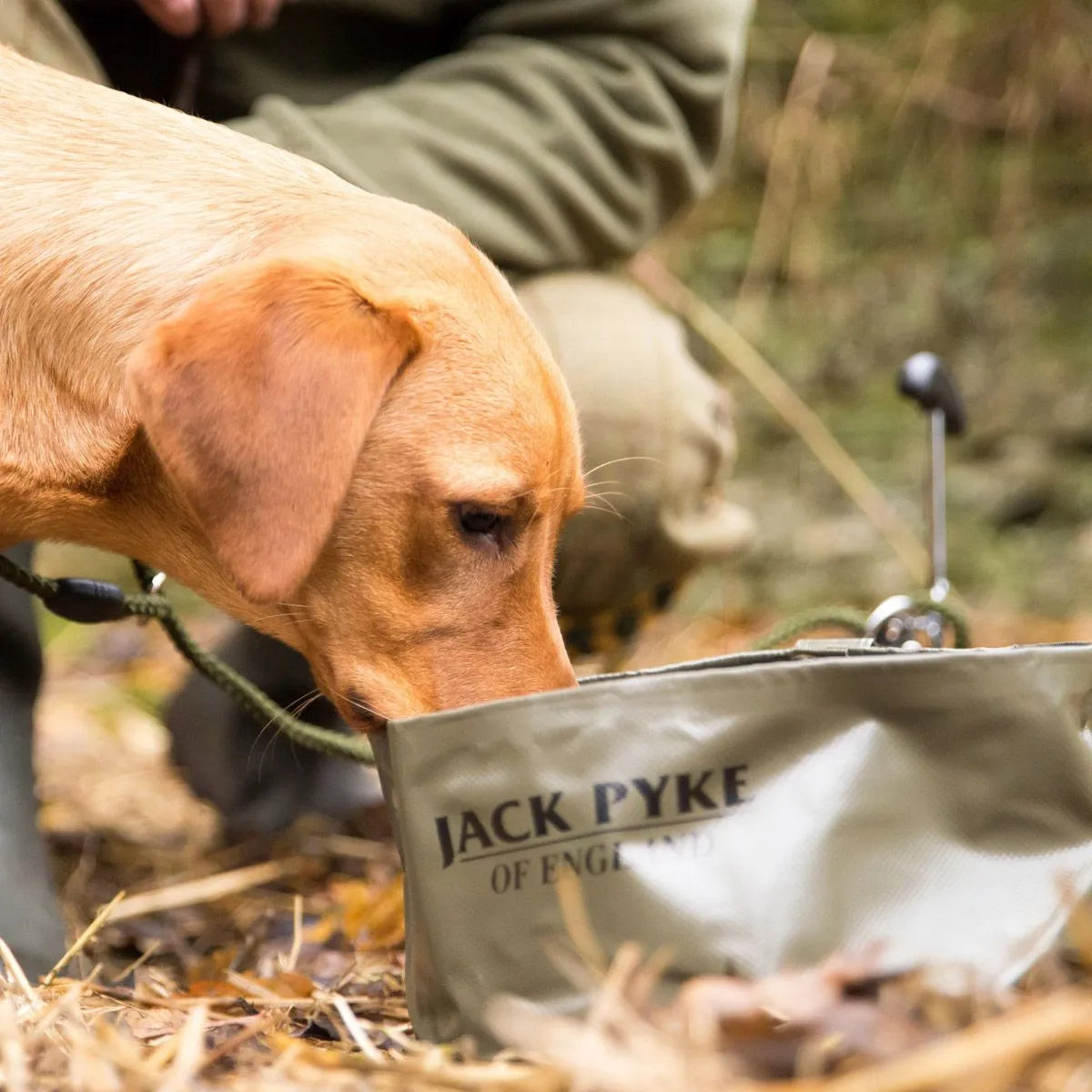 Cuenco Plegable para perros de Jack Pyke